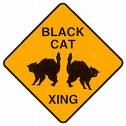 attenti ai gatti neri.jpg