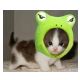 super cat frog.jpg