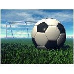 sport calcio prato porta pallone gol partita sintetico biglia goal rete stadio verde campo ball varie