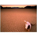 deserto teschio arido sabbia caldo crepa montagne tramonto sera marrone arancione blu viola grigio nero giallo rosa natura