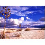 deserto arido sabbia cespuglio cielo nuvole dune marrone giallo blu azzurro bianco natura