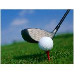 golf pallina bica 18 par ferro bianco verde erba varie