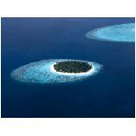 isola isole alberi palme palma oceano acqua mare blu azzurro vacanza vacanze natura