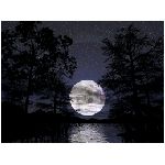 luna piena stelle notte stellata alberi lago natura