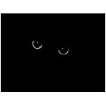 occhio nero felino buio puma pantera gatto varie