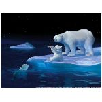 orsi coca cola orso bibita rosso neve bottoglia amici natale ghiacciaio ghiaccio mare oceano notte stelle cucciolo cuccioli fantasy