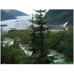 paesaggio albero alberi foresta lago ghiacciaio neve montagne cascata rapide natura