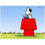 snoopy bracco cane beagle fumetto charlie brown bianco nero rosso verde azzurro cielo erba varie