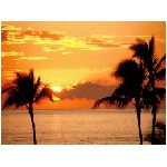 tramonto rosso giallo arancione sole palme palma mare oceano acqua nuvole natura