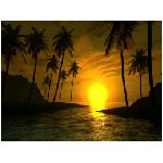 tramonto mare acqua palma palme oceano sole giallo nero blu azzurro natura