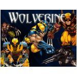 wolverine james howlett logan universo marvel comics guercio len wein herb trimpe john romita mutants mutante fattore rigenerante artigli retrattili adamantio sensi sviluppati arti marziali  x force vendicatori shield factor men man fantasy