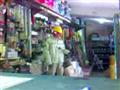 salutare sempre.flv