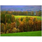 campagna alberi autunno campanile chiesa verde giallo arancione prato prati erba fiori natura -