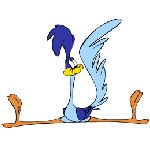 bip bip will coyote 1.jpg	bip bip will coyote road runner beep beep chuck jones 1948 warner bros acme gran canyon varie