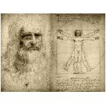 leonardo da vinci 15 aprile 1452 castello clos luce 2 maggio 1519 artista pittore scienziato italiano ingegno uomo talento rinascimento pittore scultore architetto ingegnere matematico anatomista musicista inventore scienziato genio persone