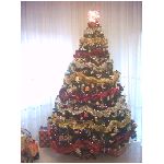 albero natale rosso rosa giallo azzurro blu viola grigio bianco nero verde arancione 25 dicembre abete festa regali doni omaggi stella luci babbo santa claus coca cola 2007 chiarelli tony carmine mario rosaria varie marotochi