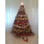 albero natale rosso rosa giallo azzurro blu viola grigio bianco nero verde arancione 25 dicembre abete festa regali doni omaggi stella luci babbo santa claus coca cola 2008 chiarelli tony carmine mario rosaria varie marotochi